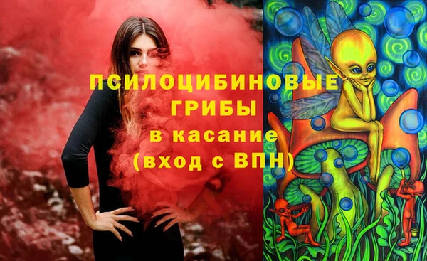 2c-b Лагань
