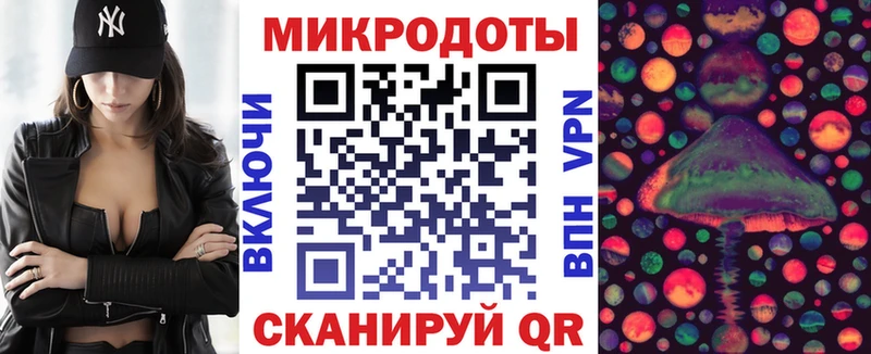 Псилоцибиновые грибы Psilocybine cubensis  Махачкала 